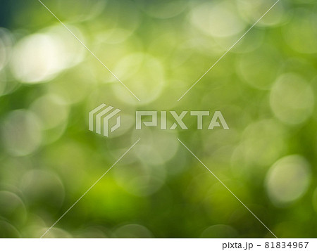 Natural outdoors bokeh background in gold sunlight with green and yellow tones, Blurred light and leaf background with bokeh 81834967