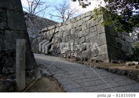 香川県丸亀市　国指定史跡　丸亀城跡（亀山公園）丸亀城の三の丸から本丸への石垣　やや引き気味に 81835009