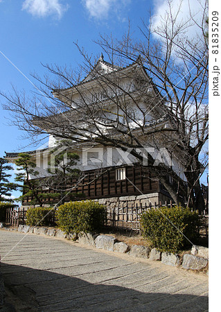 香川県丸亀市　国指定史跡　丸亀城跡（亀山公園）丸亀城の本丸　天守　縦位置 81835209