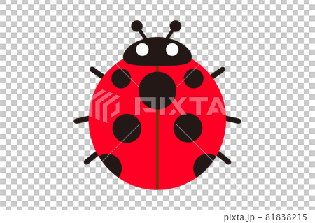 Ladybug illustration 81838215