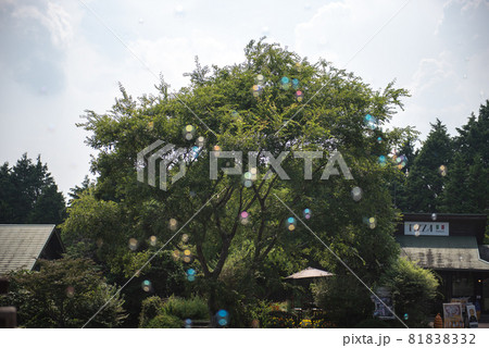 シャボン玉飛んだ 81838332