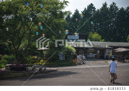 シャボン玉飛んだ 81838333