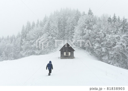 Minimalistic winter landscape with wooden house 81838903