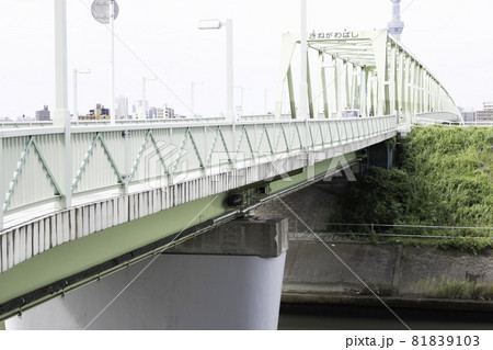 綾瀬川にかかる木根川橋のバックにスカイツリー 81839103