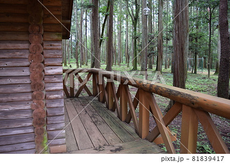 ログハウス 森林風景 81839417