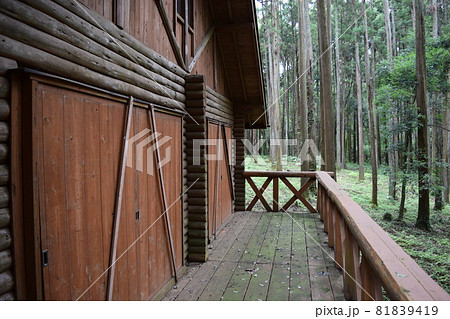 ログハウス 森林風景 ログハウス 森林風景 81839419