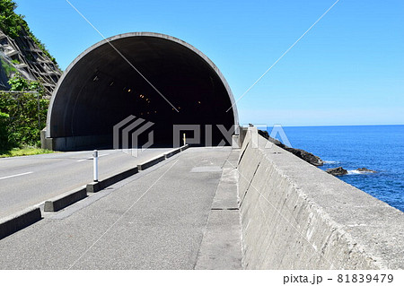 海岸道路のシェルター 海岸道路のシェルター 81839479