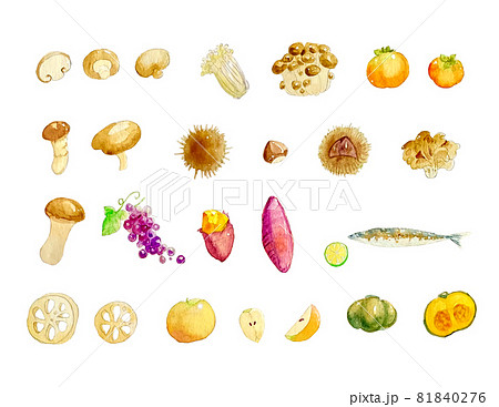 水彩イラスト素材 秋の味覚のイラスト素材