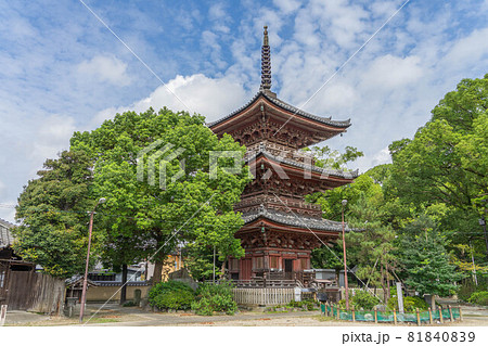 甚目寺 81840839