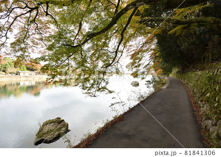嵯峨野嵐山 桂川(大堰川) 嵯峨野嵐山 桂川(大堰川) 81841306