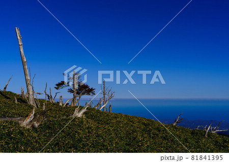 大台ヶ原から太平洋、紀伊半島を望む	 81841395