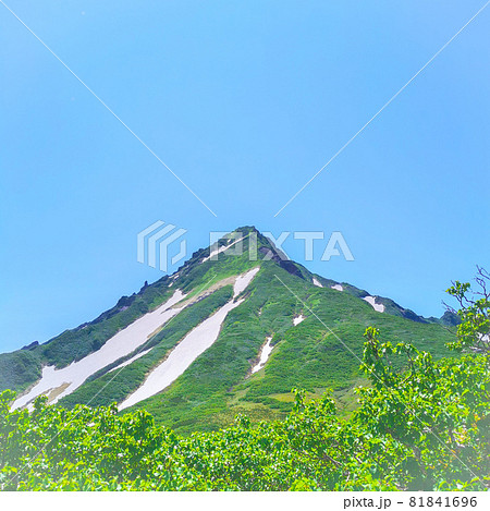 利尻島から望む利尻山 81841696