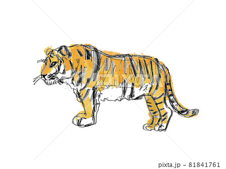水彩タッチのリアルな虎のイラストのイラスト素材