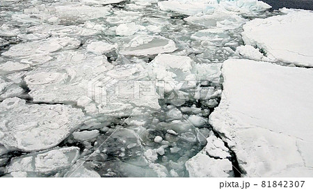 オホーツク海の流氷 オホーツク海の流氷 81842307