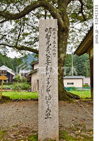 明智神社 明智神社 81842333