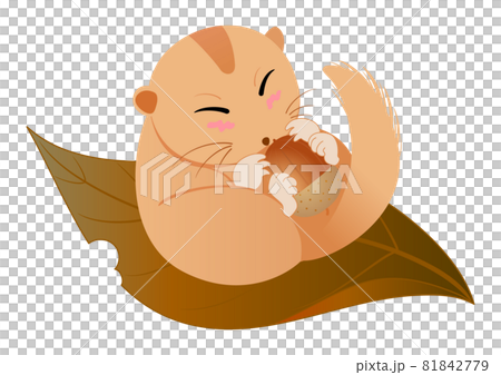 落葉の上で、どんぐりを持って眠るヤマネ 81842779