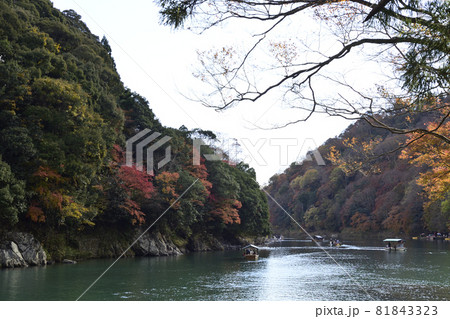 嵯峨野嵐山 桂川(大堰川) 嵯峨野嵐山 桂川(大堰川) 81843323