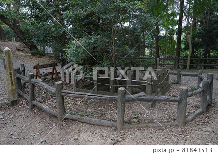 静岡県掛川市　高天神城跡　かな井戸 81843513