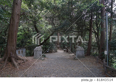 静岡県掛川市　高天神城跡　井戸曲輪近く　狛犬 81843514