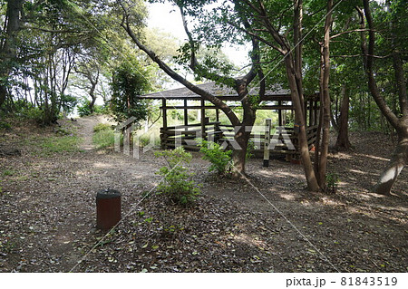 静岡県掛川市 高天神城跡 三の丸跡 静岡県掛川市 高天神城跡 三の丸跡 81843519