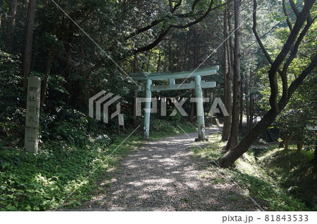 静岡県掛川市 高天神城跡 搦手門の鳥居 静岡県掛川市 高天神城跡 搦手門の鳥居 81843533