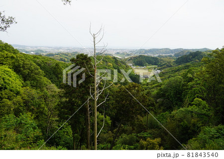 静岡県掛川市 高天神城跡 馬場平付近からの遠景 静岡県掛川市 高天神城跡 馬場平付近からの遠景 81843540