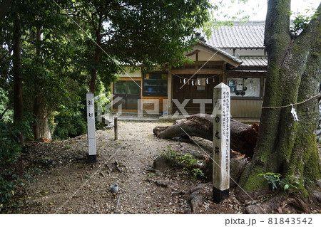静岡県掛川市 高天神城跡 西の丸跡と高天神社 静岡県掛川市 高天神城跡 西の丸跡と高天神社 81843542