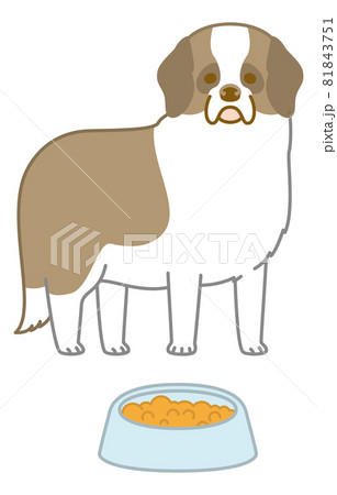 ご飯を食べるセントバーナードのイラスト素材