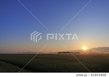 山から昇る朝日 山から昇る朝日 81843806