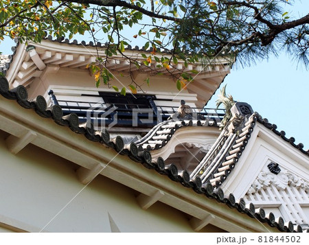 白壁と高知城の天守（黒鉄門南東矢狭間塀の東側から見上げた天守閣） 81844502