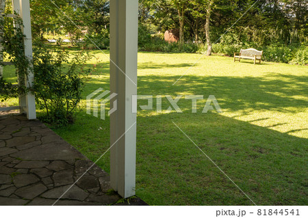 緑の芝とベンチ 81844541