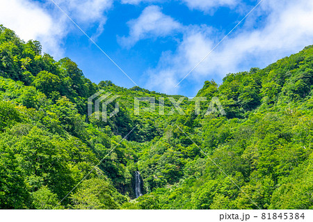 アイヨシの滝　六十里越峠　雪わり街道 81845384