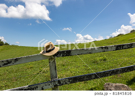 牧場と麦わら帽子 牧場と麦わら帽子 81845816