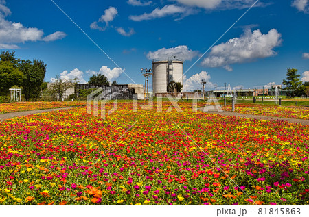 ゆりの里公園 ゆりの里公園 81845863