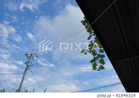電信柱と空 電信柱と空 81846329