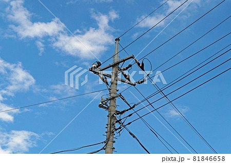 電信柱1 電信柱1 81846658