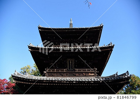 京都：秋の金戒光明寺の文殊塔 81846799