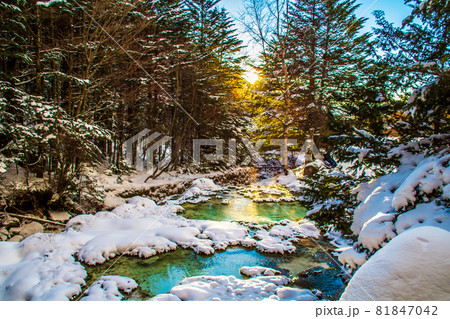 長野県　冬の唐沢鉱泉源泉 81847042