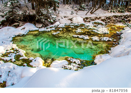 長野県　冬の唐沢鉱泉源泉 81847056