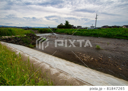 和合橋付近から見た白岩川 富山県中新川郡上市町にて 和合橋付近から見た白岩川 富山県中新川郡上市町にて 81847265