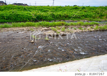 和合橋付近から見た白岩川　富山県中新川郡上市町にて 81847267
