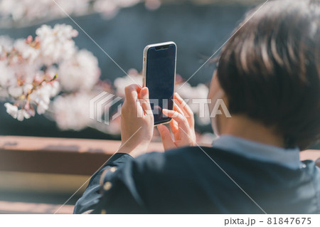 桜を写メ 桜を写メ 81847675