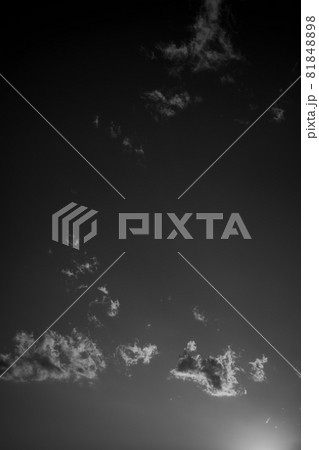 空 空 81848898