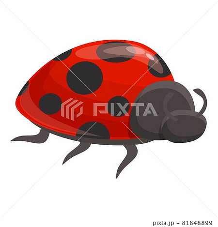 Beetle bug icon cartoon vector. Ladybug insect 81848899