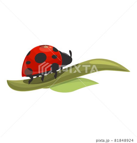 Leaf ladybug icon cartoon vector. Ladybird spring Leaf ladybug icon cartoon vector. Ladybird spring 81848924