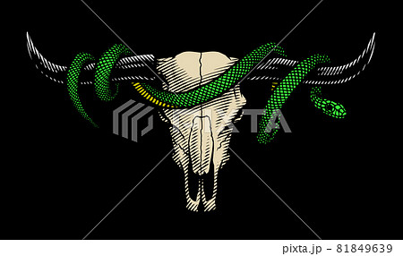 Bull skull and snake. T-shirt print design. Vector illustration. 81849639