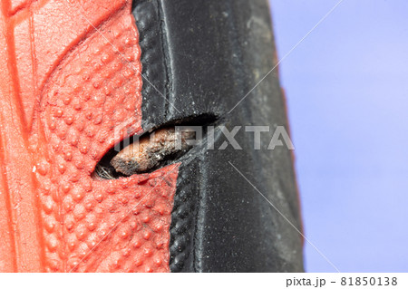 Torn bicycle tire, close up view. 81850138