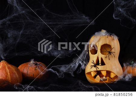 Halloween pumpkins with spiders and web on black background Halloween pumpkins with spiders and web on black background 81850256
