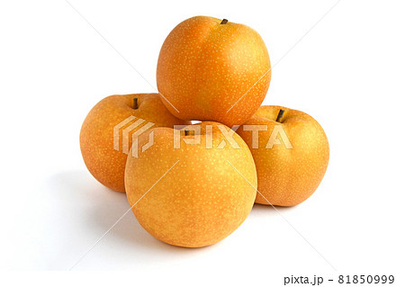 梨(新甘泉) 梨(新甘泉) 81850999