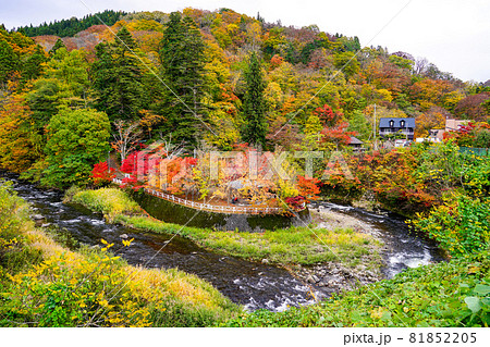 美しい紅葉で知られる中野もみじ山（青森県黒石市）　イギリス人女性紀行家イザベラ・バードも絶賛！ 81852205